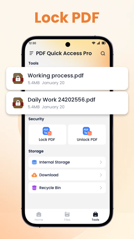 PDF Quick Access Pro Security Feature